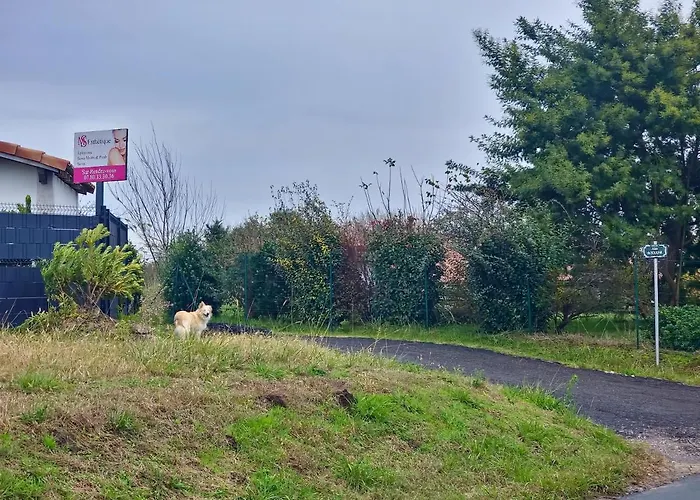 דירה Maison 2/4 Personnes *